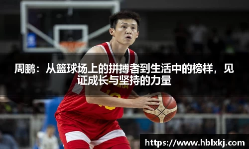 zoty中欧